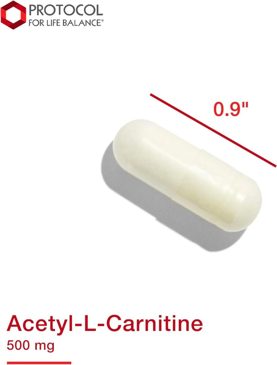 Acetyl-L-Carnitine 500 MG 100 Vegan Capsules - Image 7