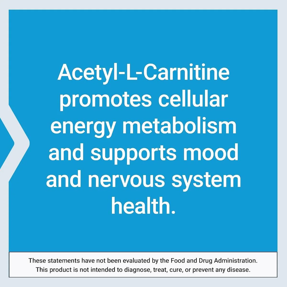 Acetyl-L-Carnitine 500 MG 100 Veggie Caps - Image 6