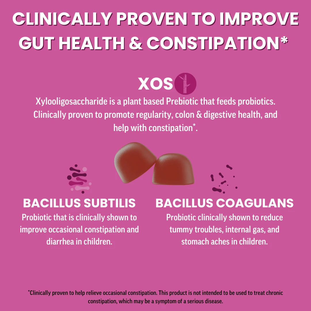 Adult Prebiotic & Probiotic Gummies, Mixed Berry (120 ct) - Image 2