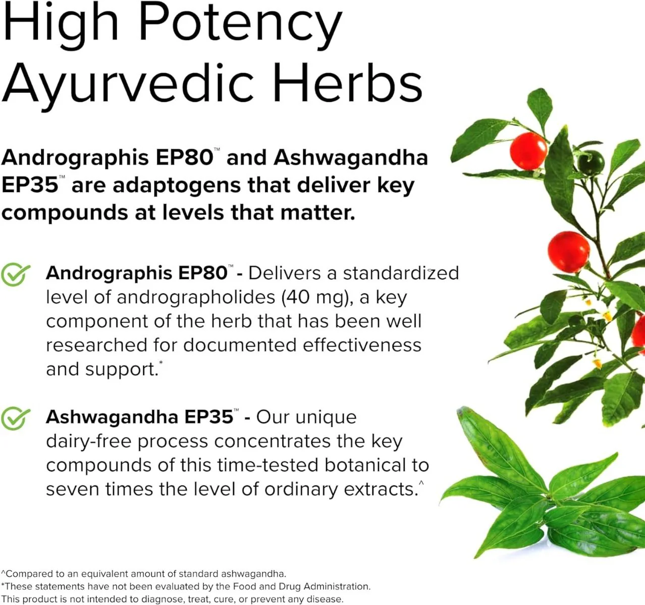 Andrographis and Ashwagandha 60 Capsules - Image 5