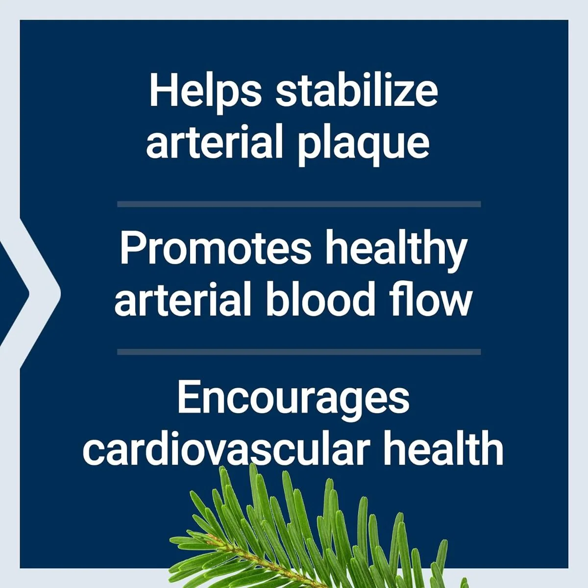 Arterial Protect 30 Veggie Caps - Image 9