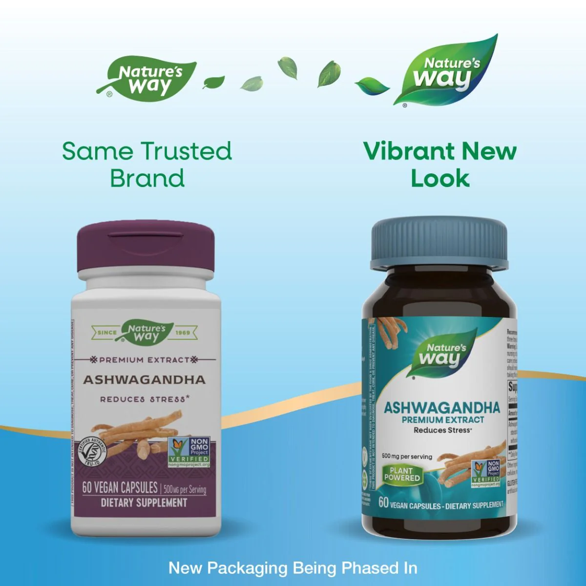 Ashwagandha 60Vegan Capsules - Image 2