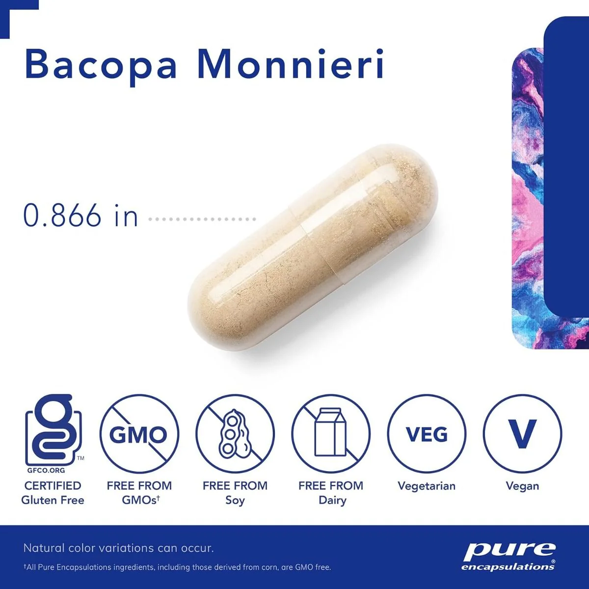 Bacopa Monni180 era 200 Mg Veggie Caps - Image 3