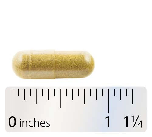 Berberine 60 Capsules - Image 4