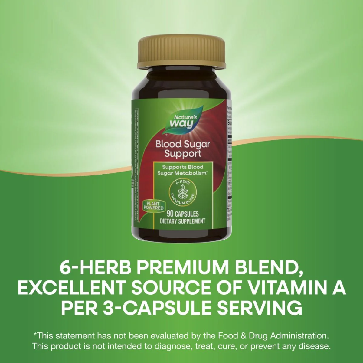 Blood Sugar Support 90Capsules - Image 4