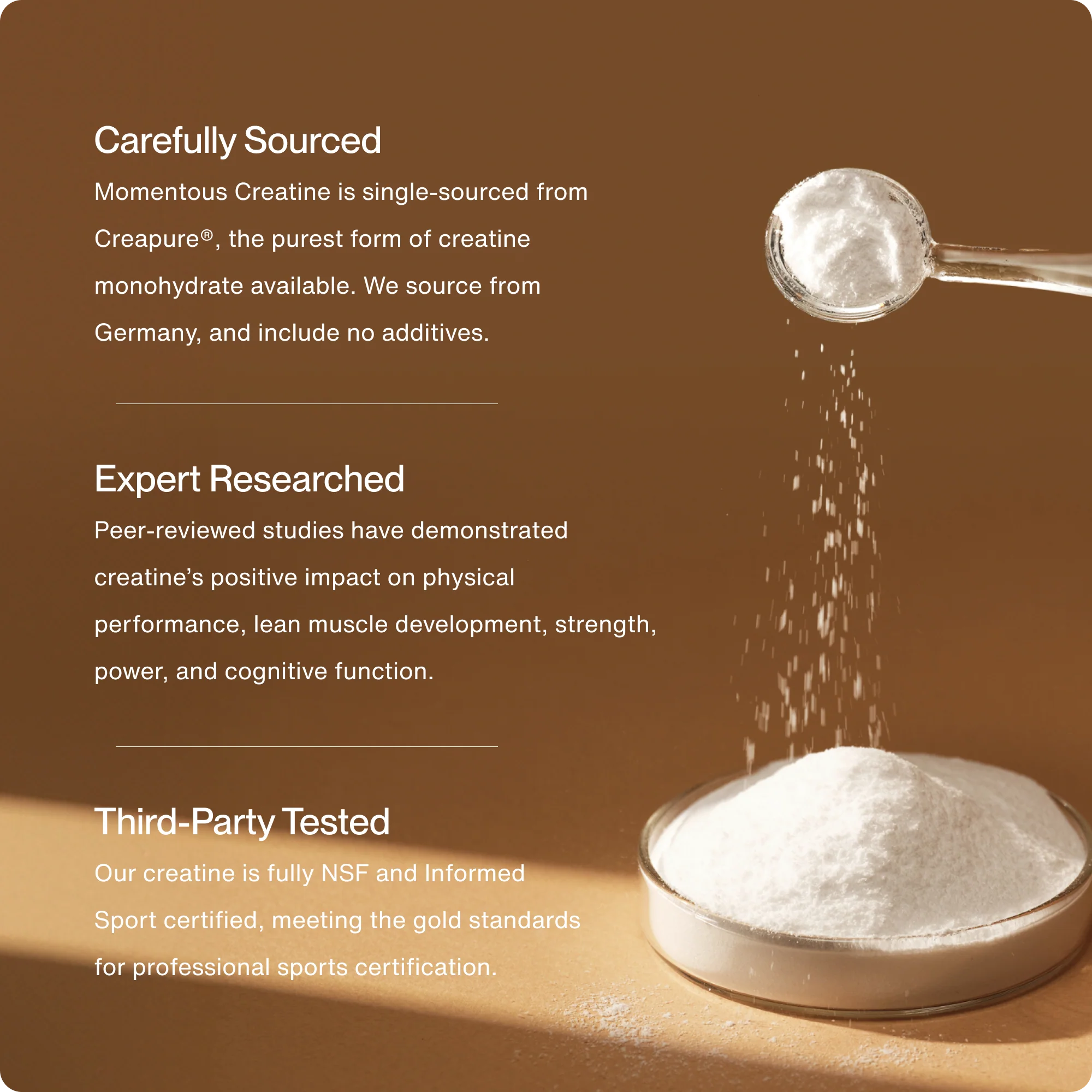 Creatine - Image 7