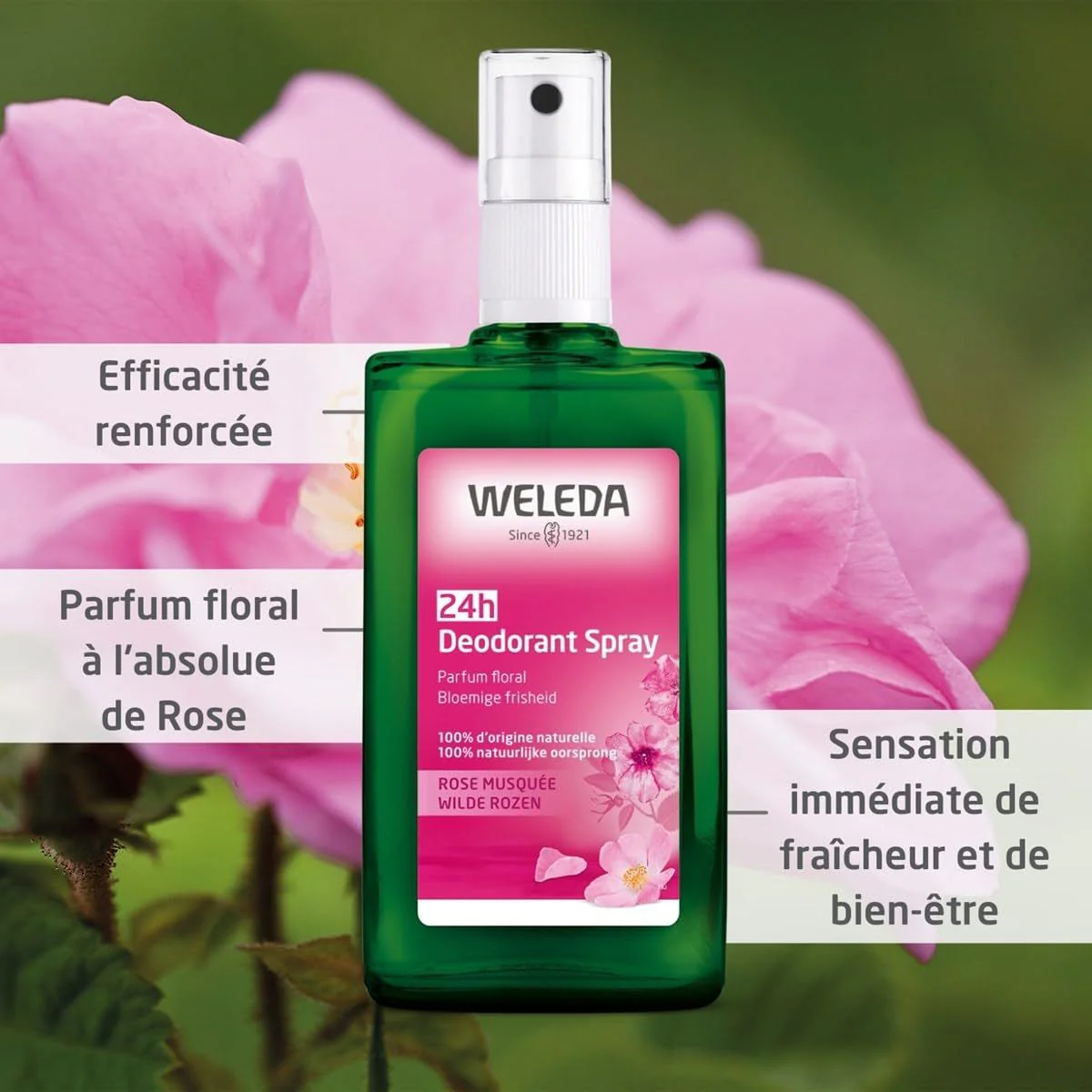 Deodorant Spray - Wild Rose 3.4 Oz Spray - Image 2