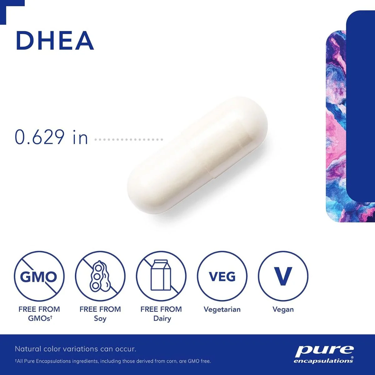 DHEA Micronized 25 MG 60 Capsules - Image 3