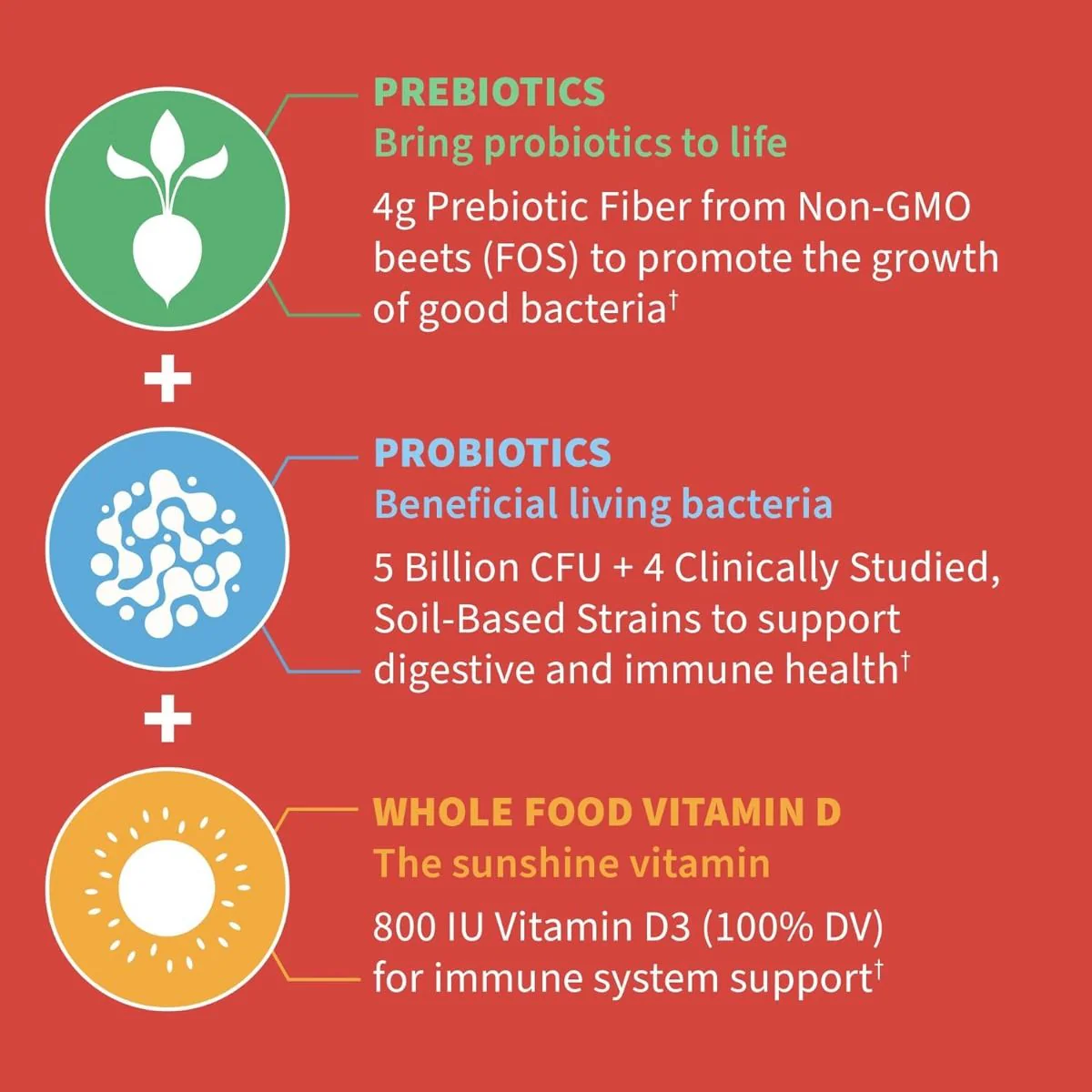 Dr. Formulated Probiotic Kids 5 Billion 60 Gummies Strawberry - Image 3