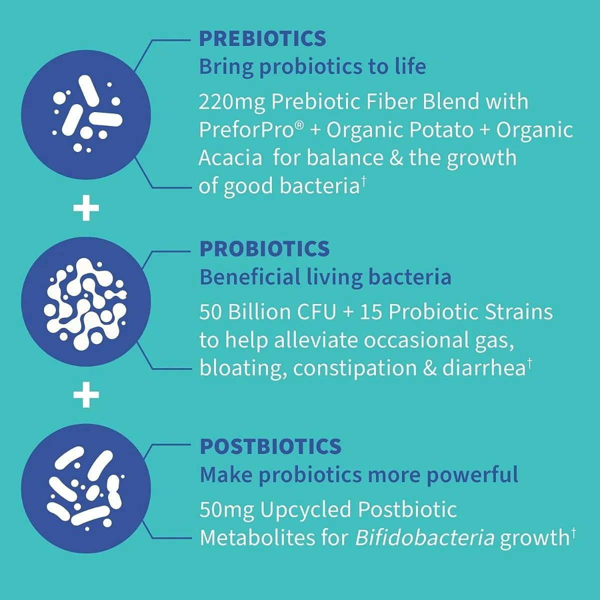 Dr. Formulated Probiotics Gas & Bloating 50 Billion 30 Veggie Caps - Image 3
