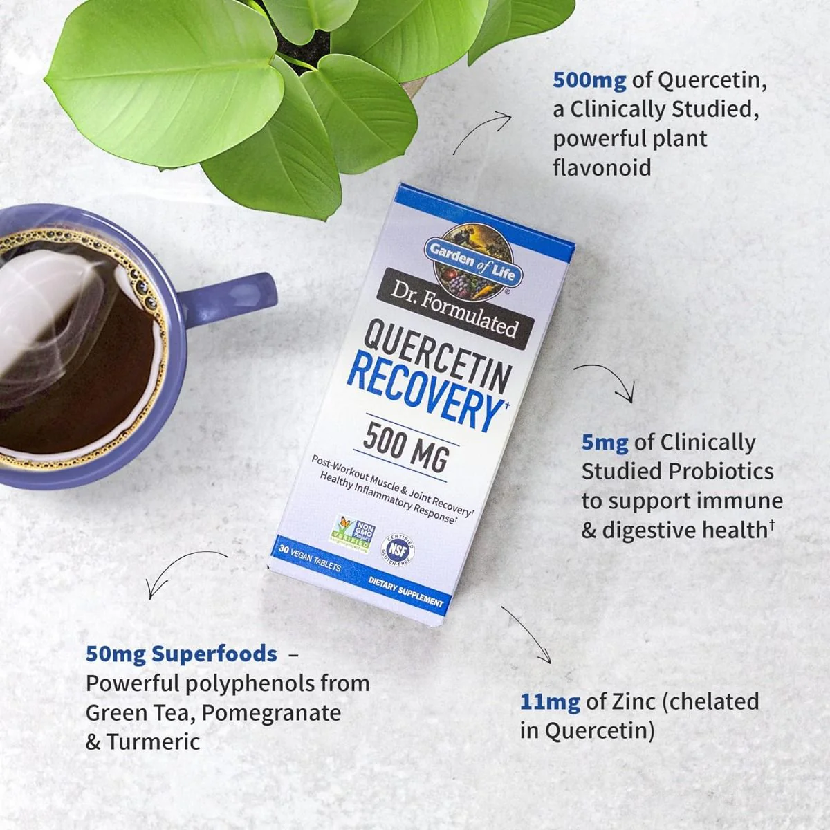 Dr. Formulated Quercetin Recovery 500 MG 30 Vegan Tablets - Image 2