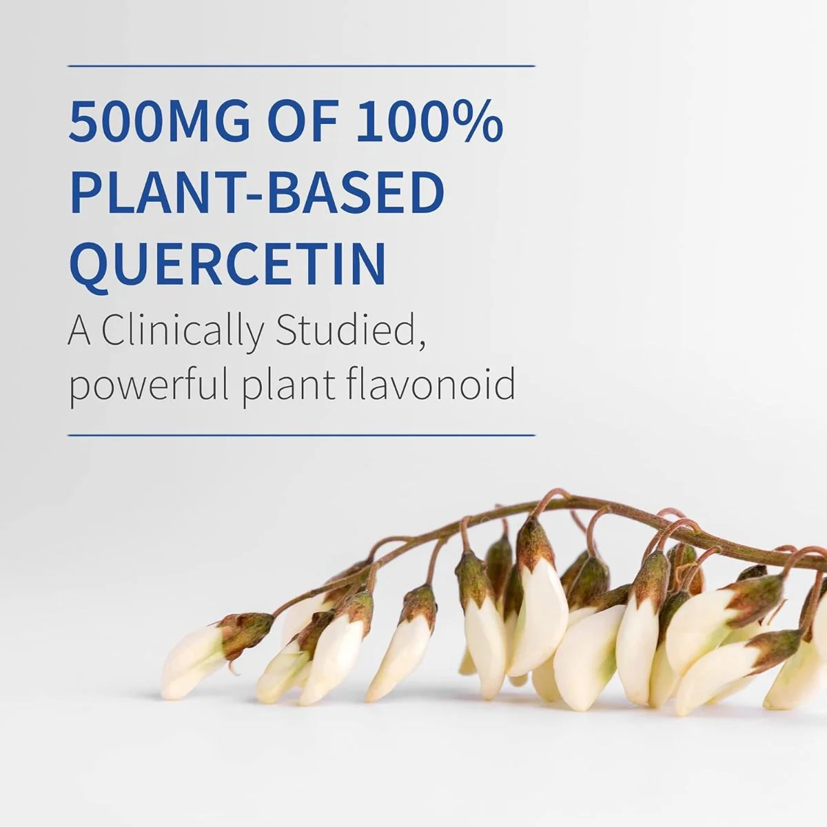 Dr. Formulated Quercetin Recovery 500 MG 30 Vegan Tablets - Image 7