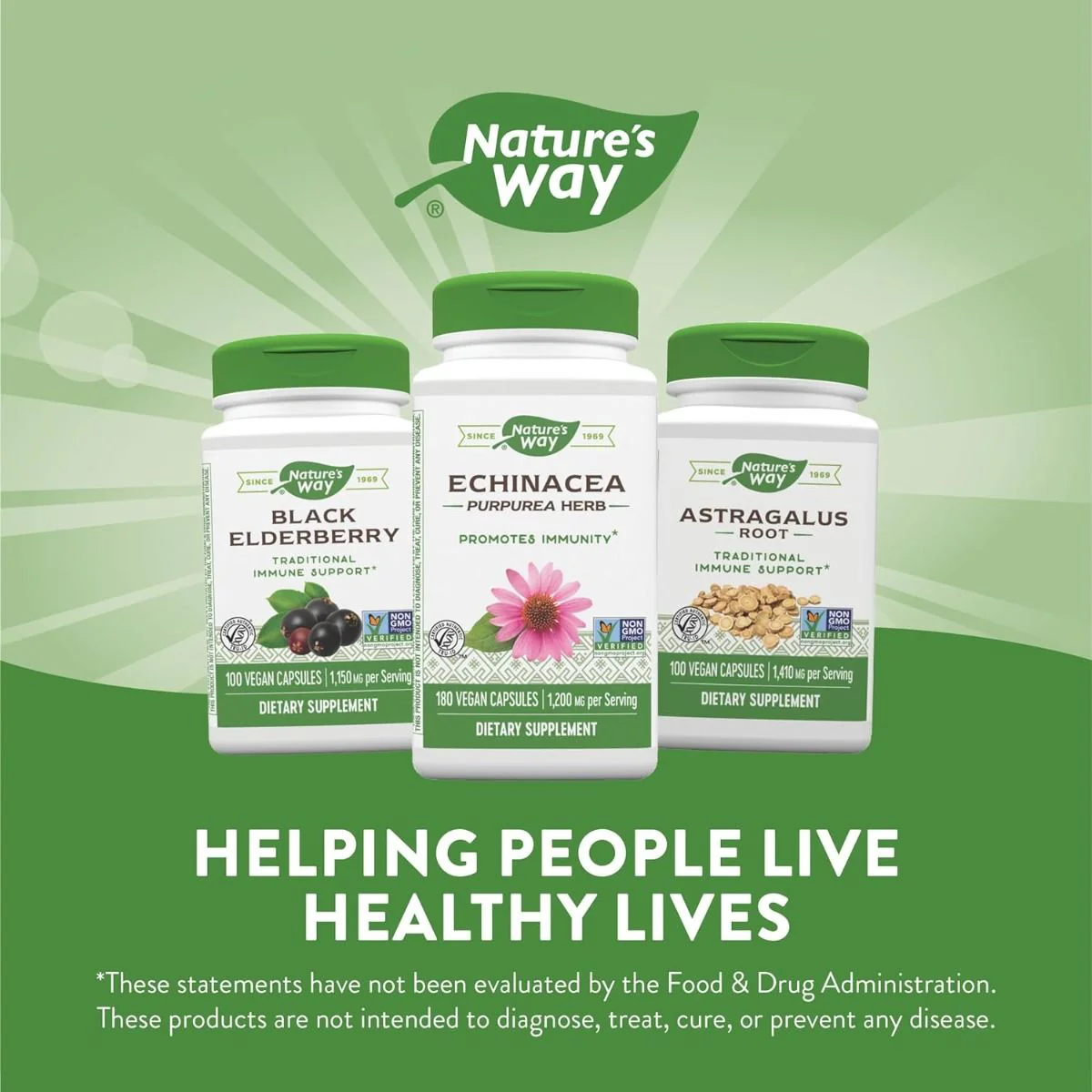 Echinacea 100Capsules - Image 2