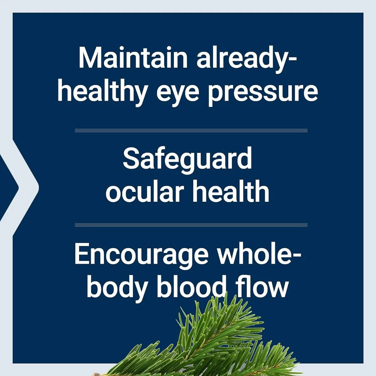 Eye Pressure Support 120 MG 30 Veggie Caps - Image 4