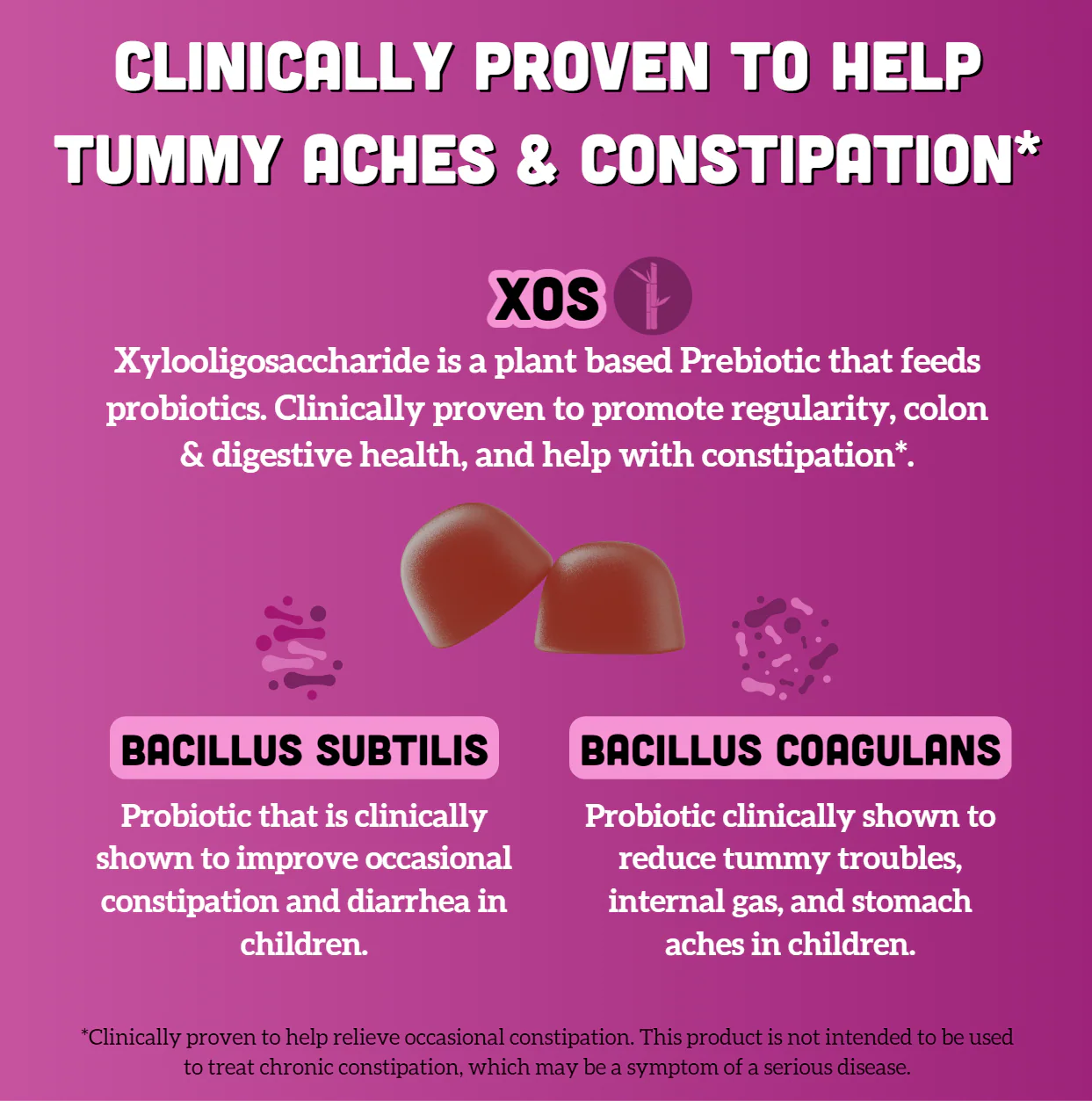 Family Gut Support Bundle – Kids + Adult Pre & Probiotic Gummies – Mixed Berry - Image 6