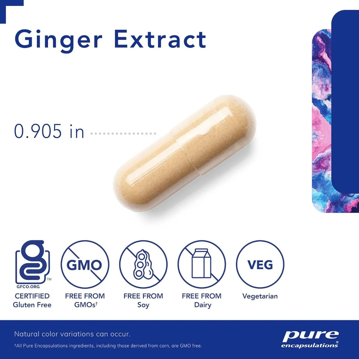 Ginger Extract 120 Veggie Caps - Image 3