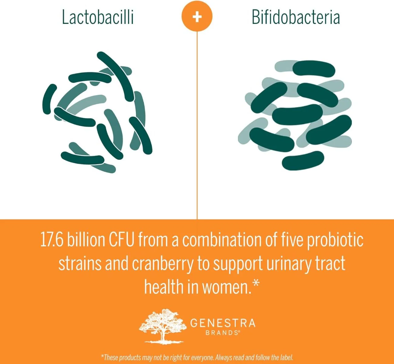 HMF Women's Daily Probiotic 30 Veggie Caps - Image 4
