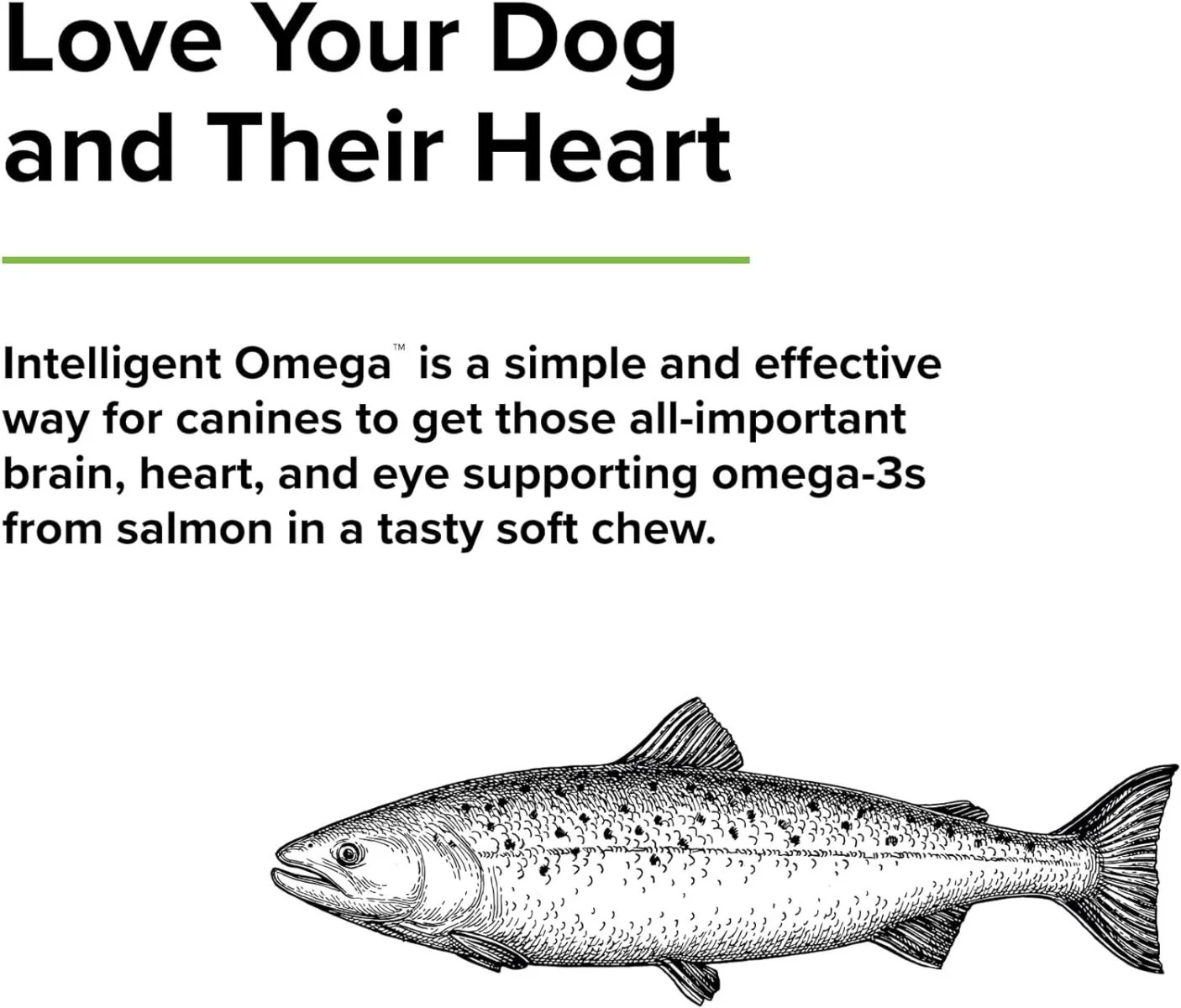 Intelligent Omega (For Dogs!) 60 Chewable Softgels - Image 4