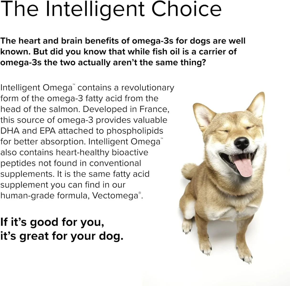 Intelligent Omega (For Dogs!) 60 Chewable Softgels - Image 5