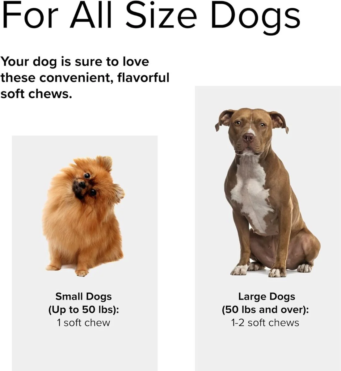 Intelligent Omega (For Dogs!) 60 Chewable Softgels - Image 6