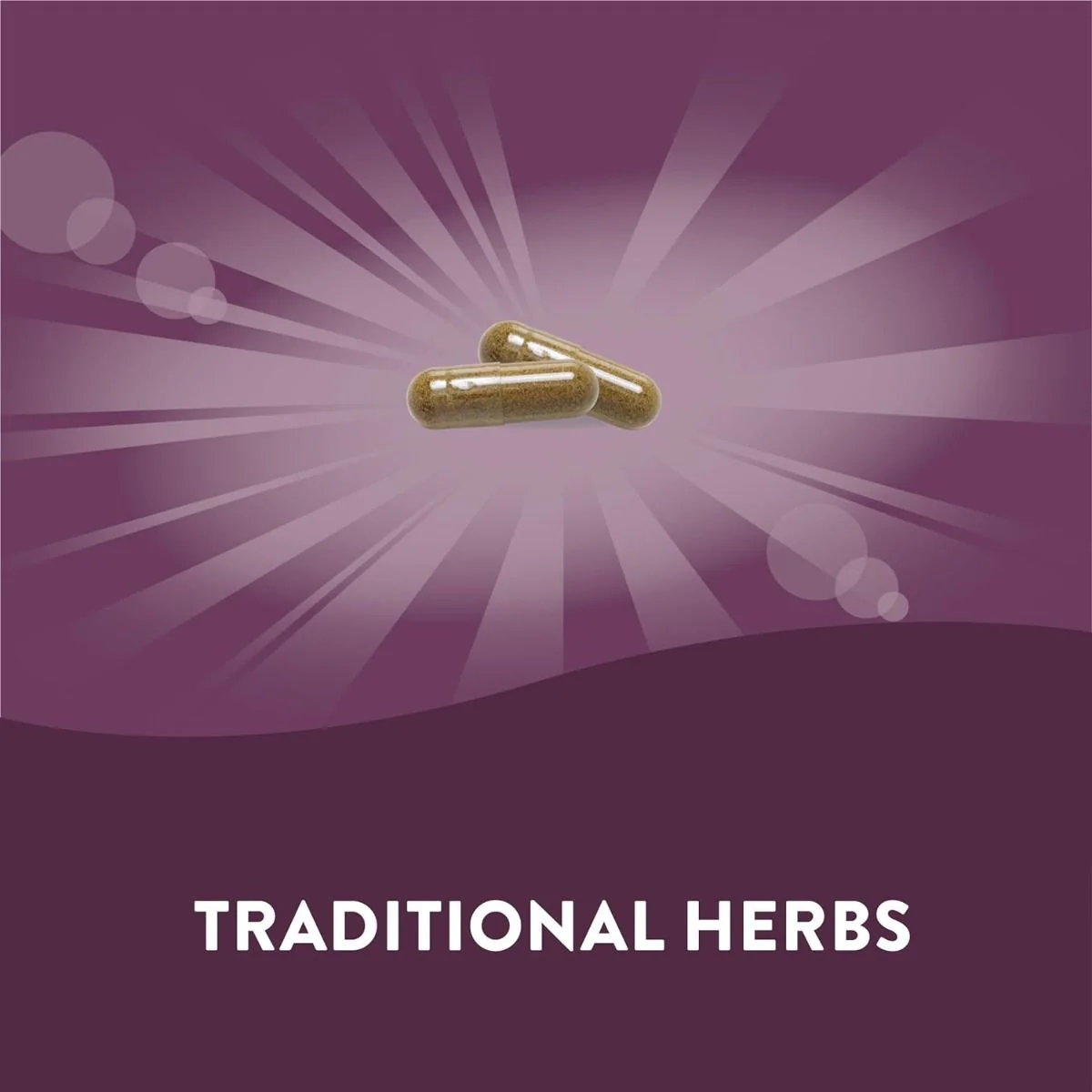 Kidney Bladder 100Capsules - Image 2