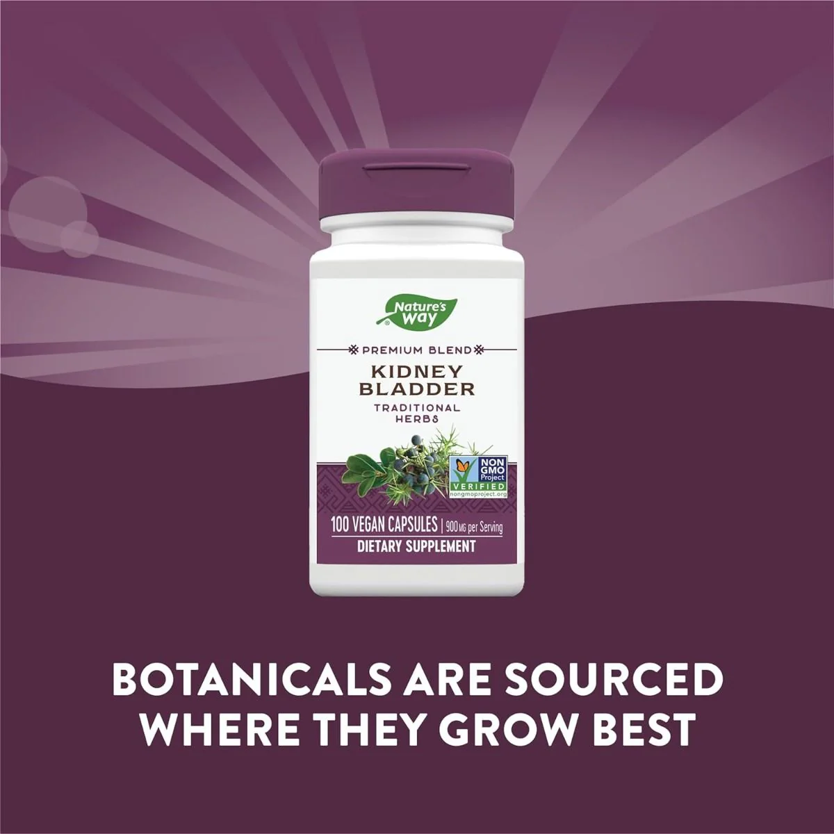 Kidney Bladder 100Capsules - Image 3