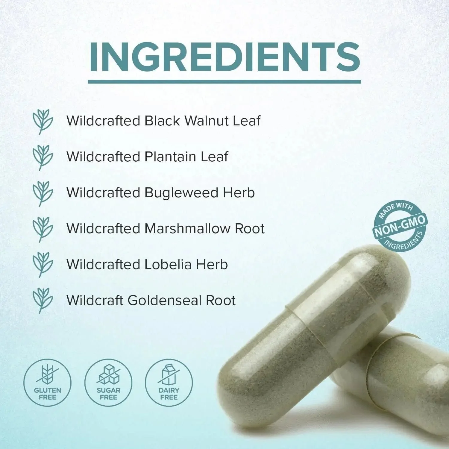 LYMPHX – Advanced Natural Defense & Total Body Wellness - Image 4