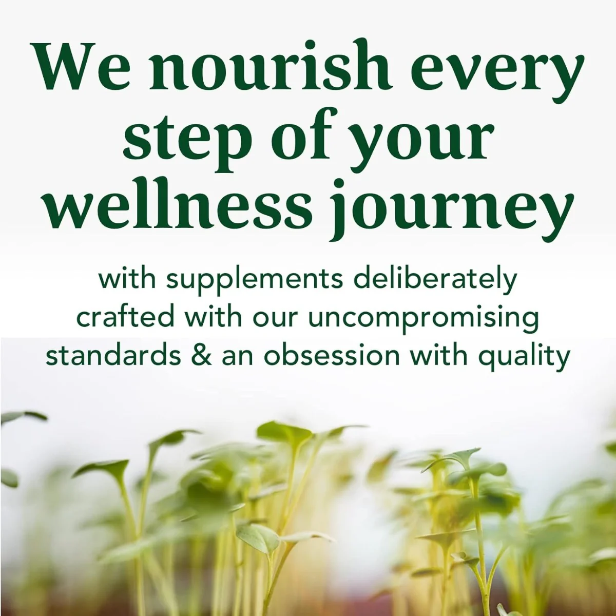 Turmeric Curcumin Extra Strength Whole Body - Image 6