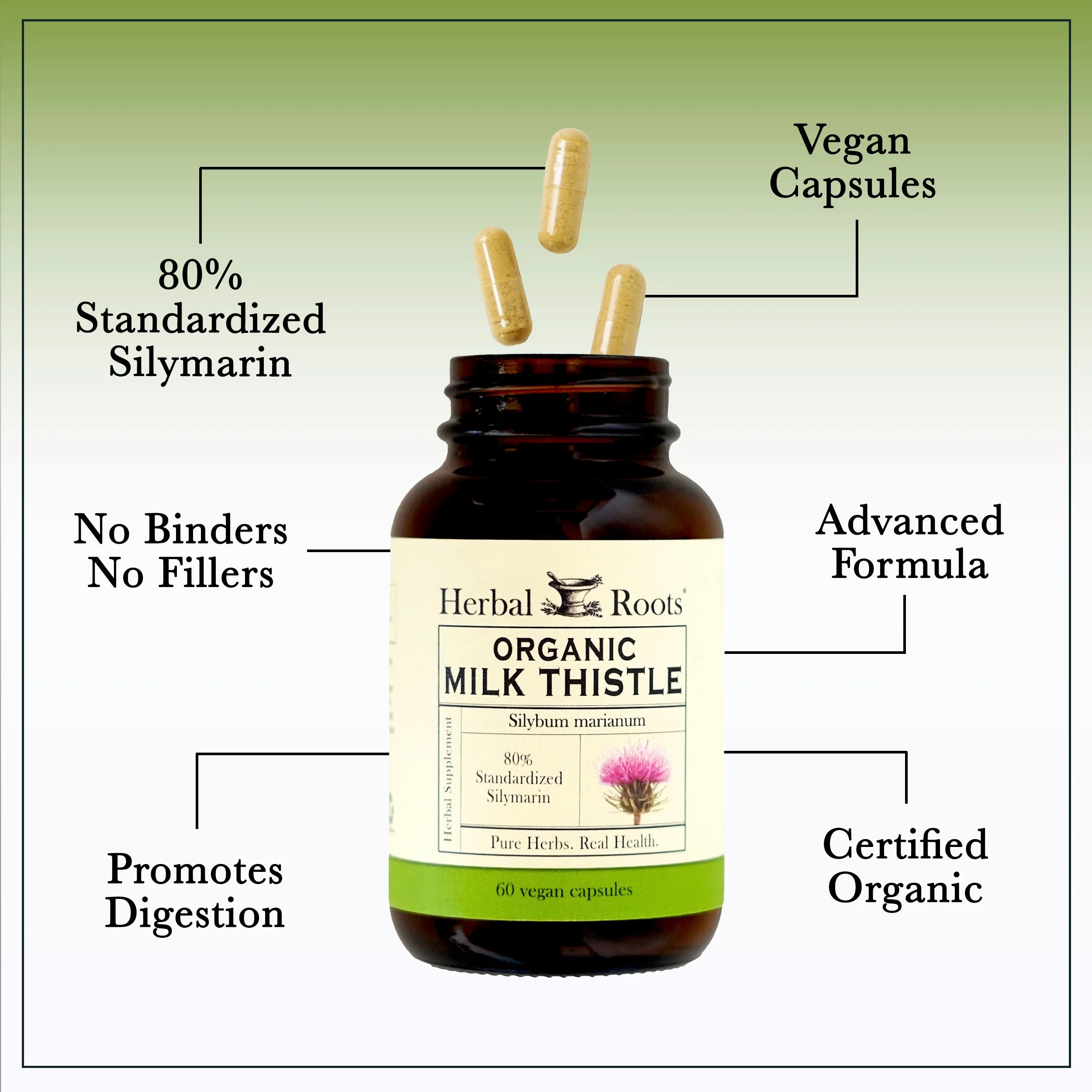 Milk Thistle - Image 3