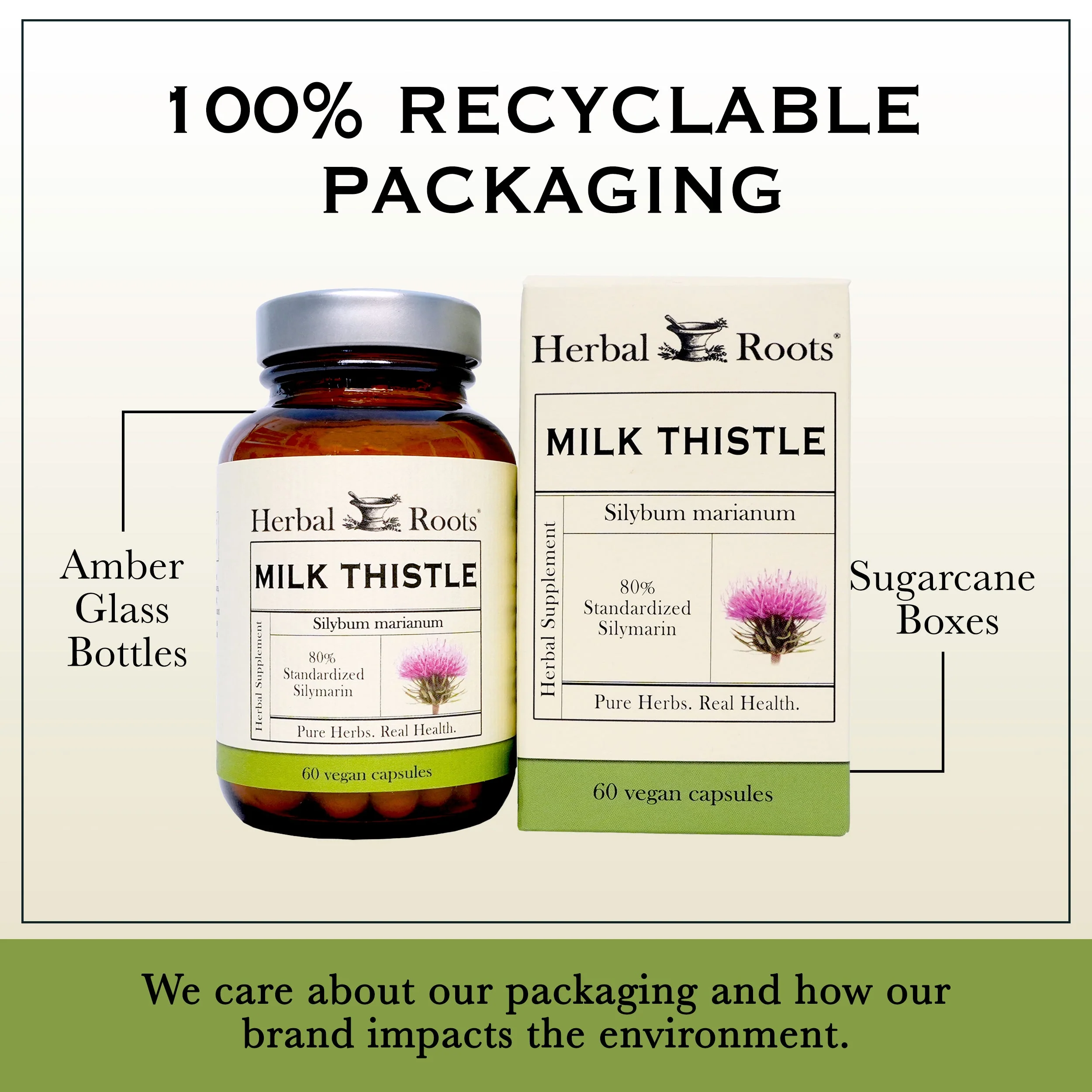 Milk Thistle - Image 4