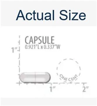 Neuro-Mag Magnesium L-Threonate 90 Veggie Caps - Image 10