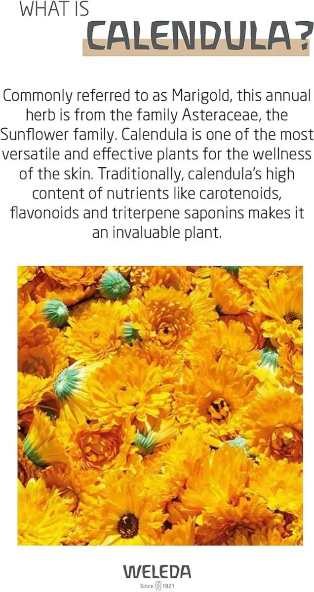 Nourishing Face Cream - Calendula 1.7 Fl Oz - Image 4