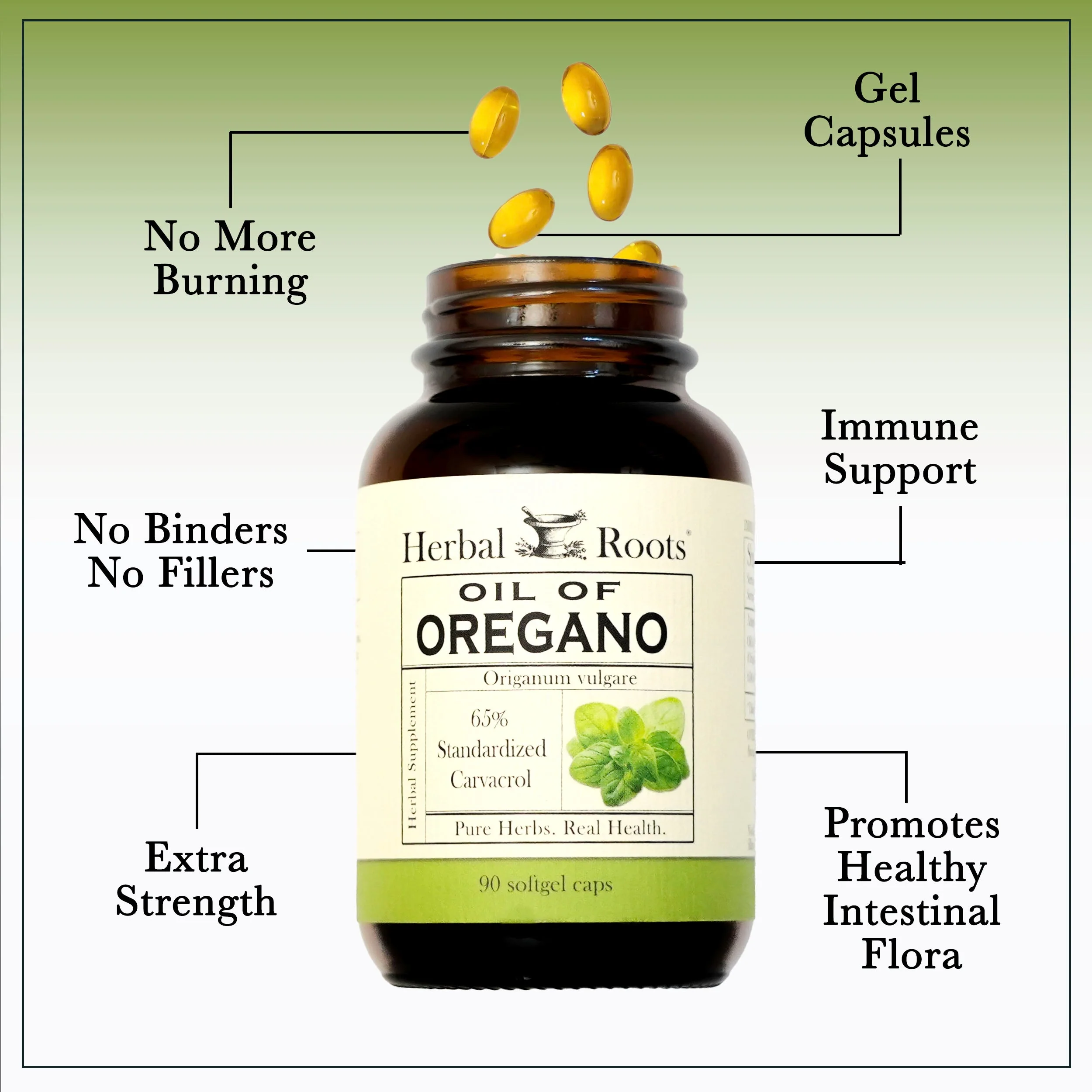 Oil of Oregano - Image 5