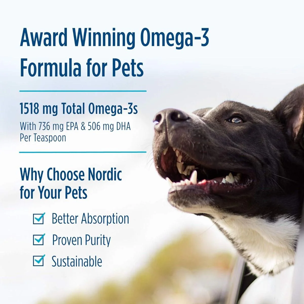 Omega-3 Pet 16 Oz Liquid Unflavored - Image 4