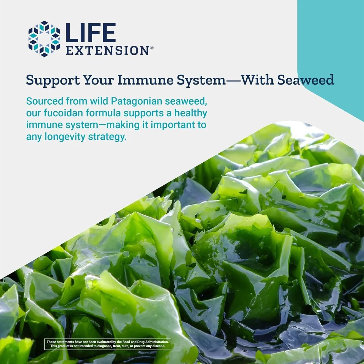 Optimized Fucoidan with Maritech 926 60 Veggie Caps - Image 7