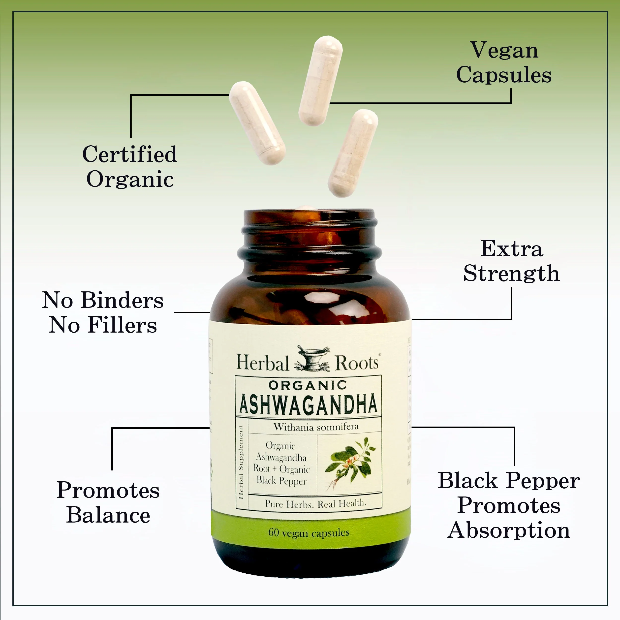 Organic Ashwagandha - Image 5