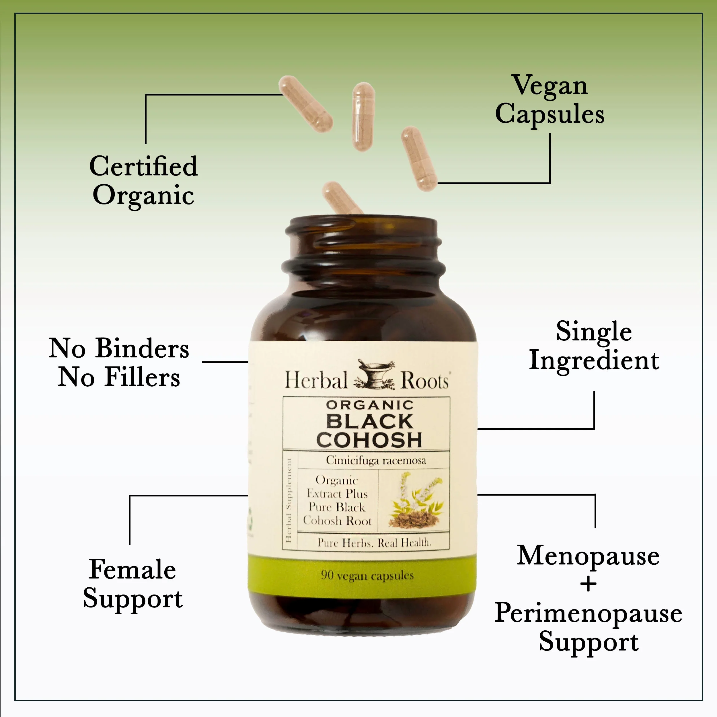 Organic Black Cohosh - Image 4