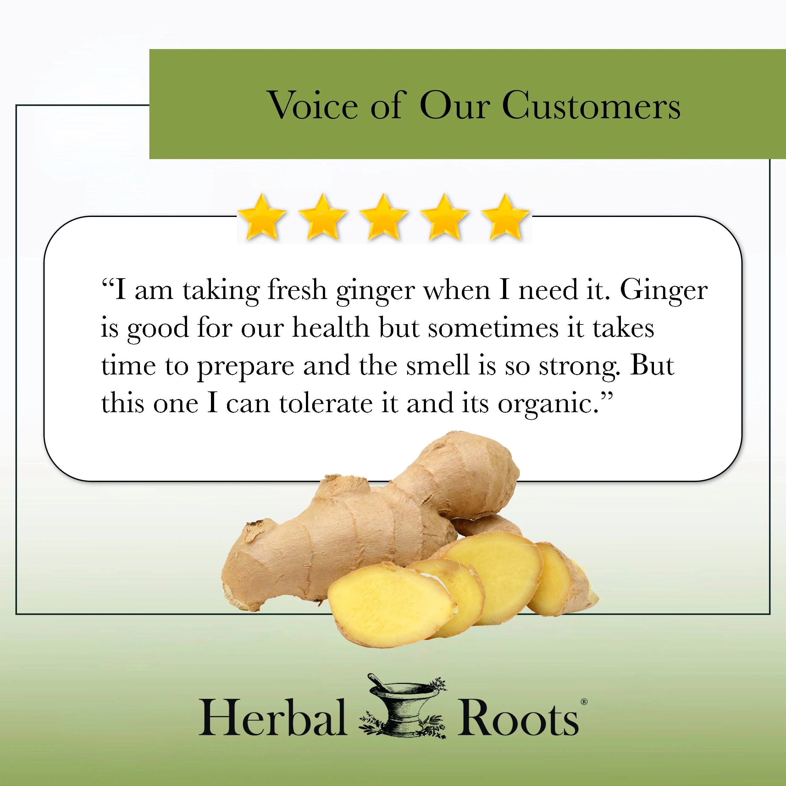 Organic Ginger - Image 6