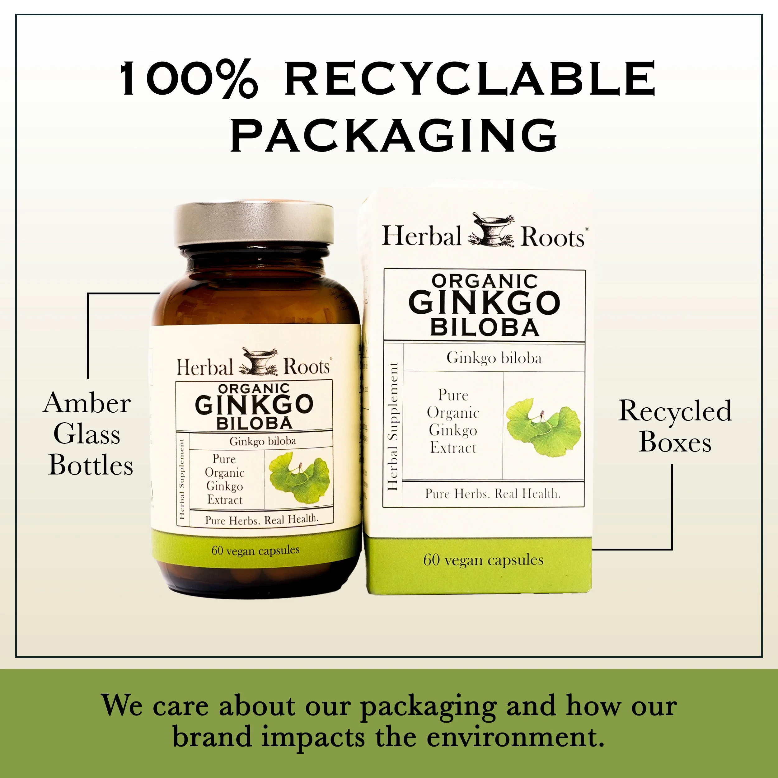 Organic Ginkgo Biloba - Image 5