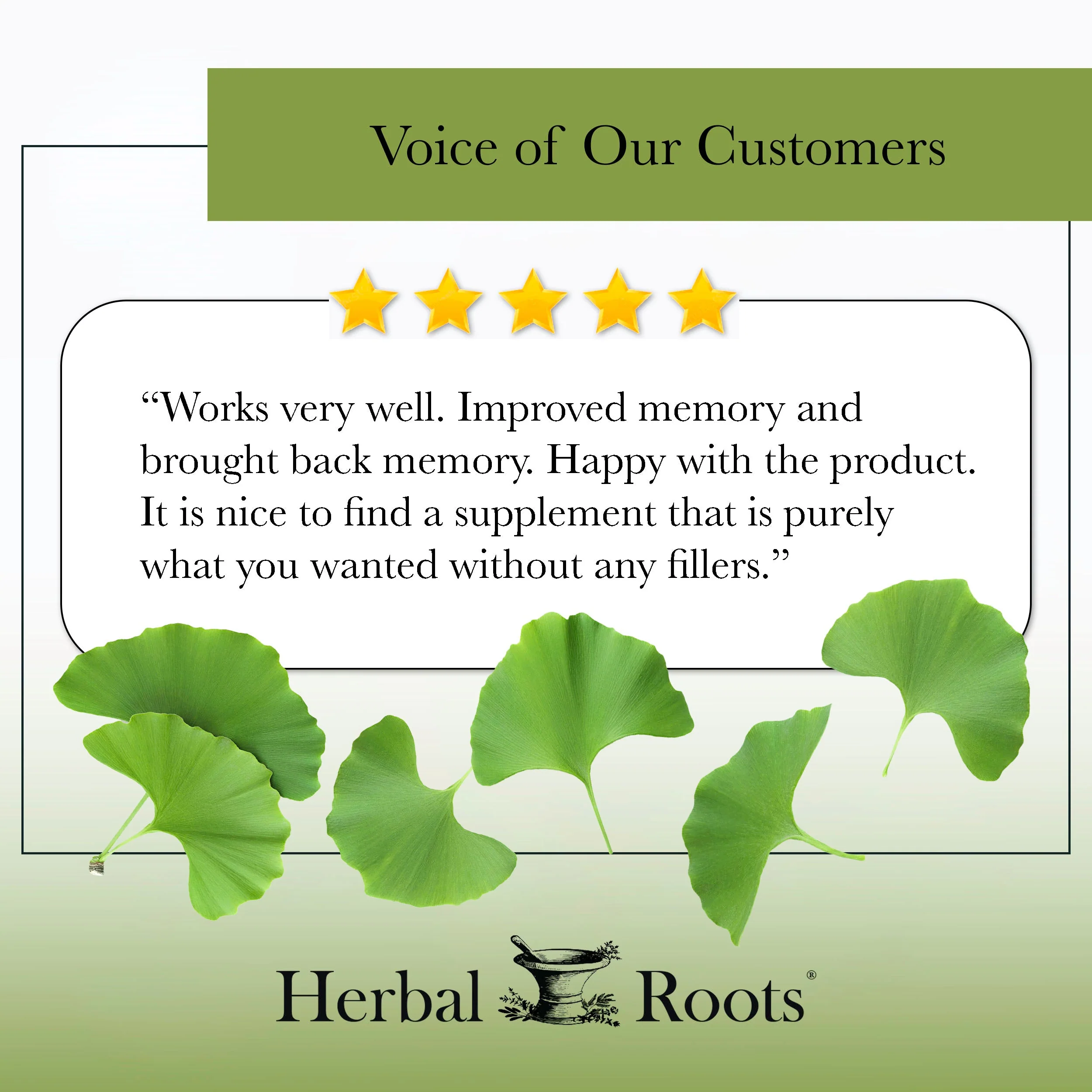 Organic Ginkgo Biloba - Image 7