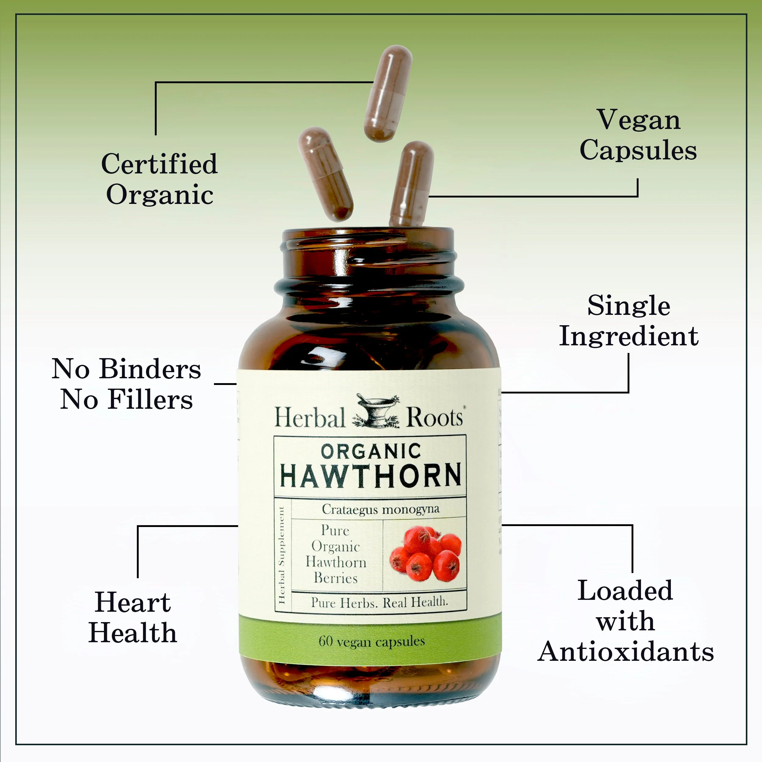 Organic Hawthorn Berry - Image 3