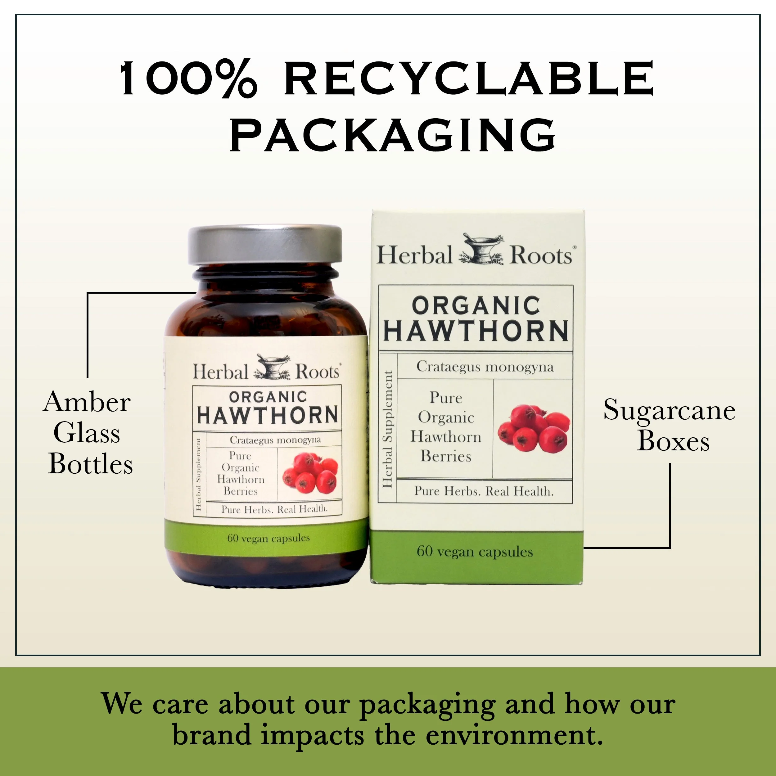Organic Hawthorn Berry - Image 5