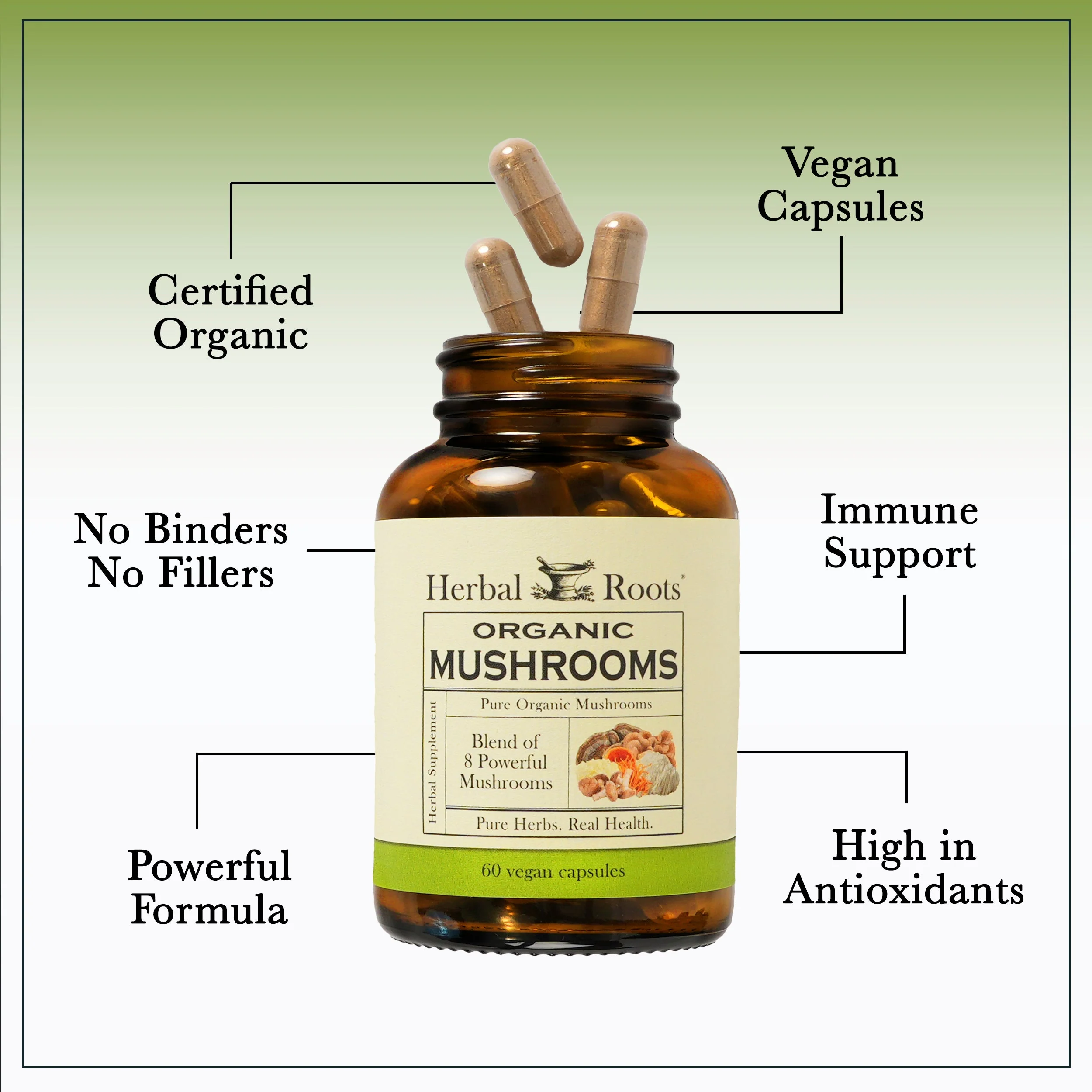 Organic Mushrooms Blend - Image 2