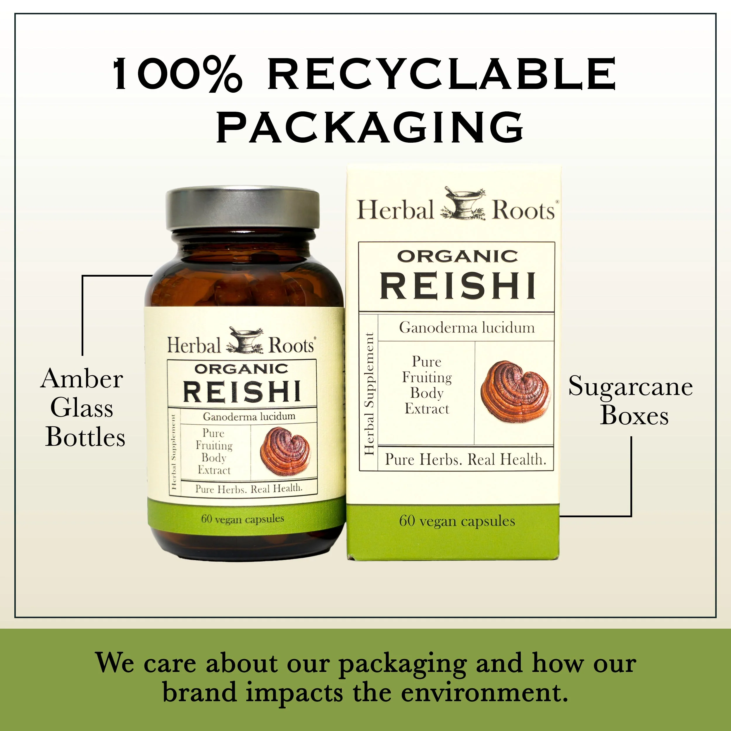 Organic Reishi Mushroom - Image 3
