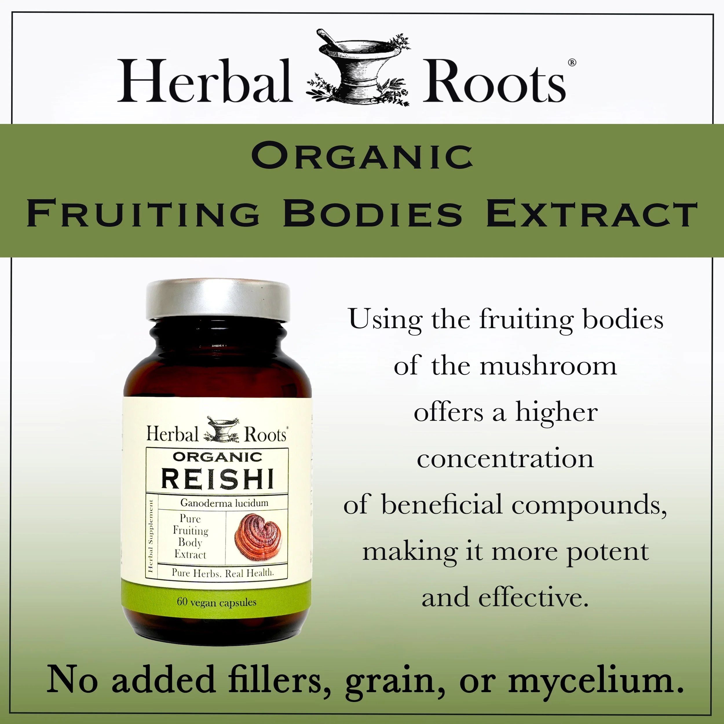 Organic Reishi Mushroom - Image 6
