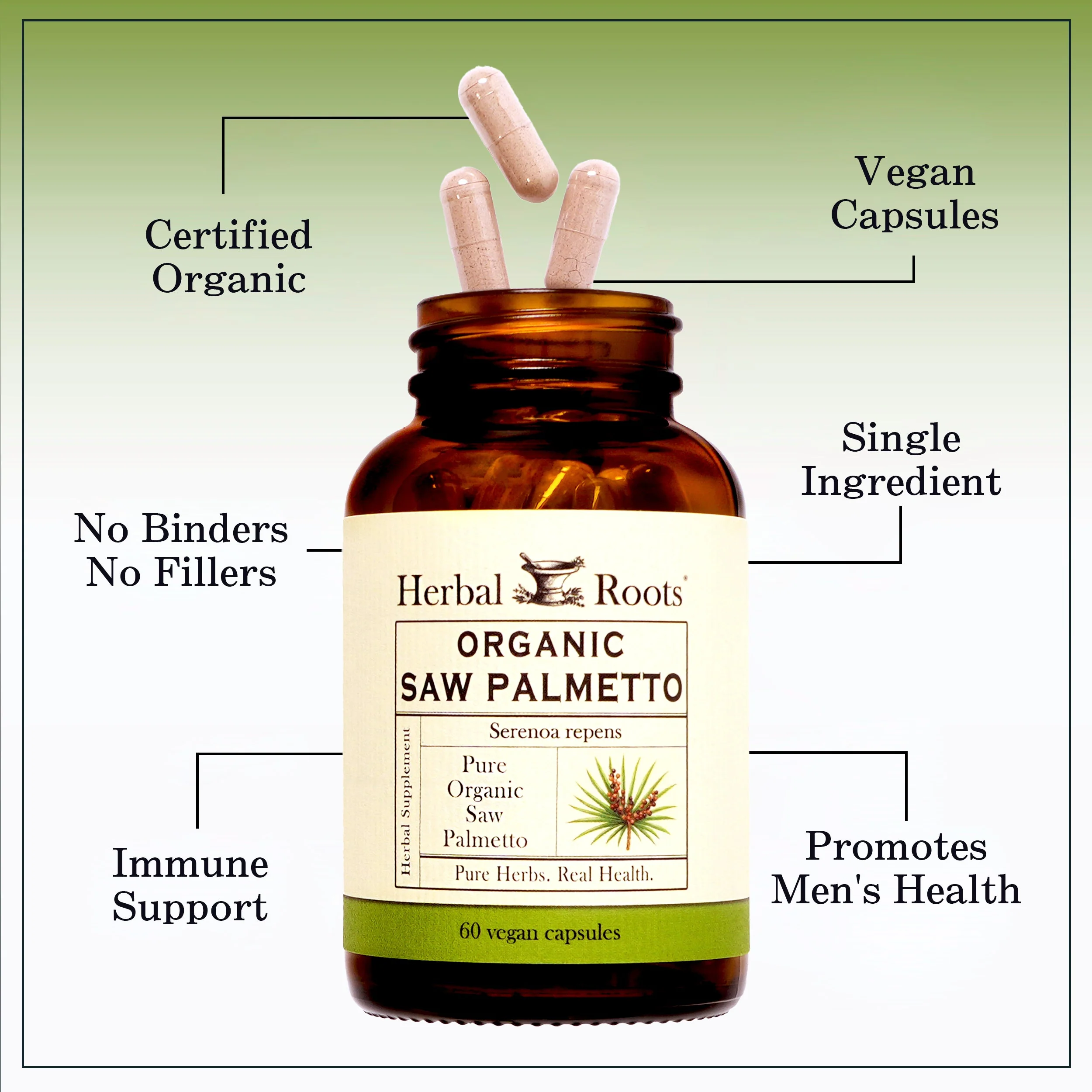 Organic Saw Palmetto - Image 3