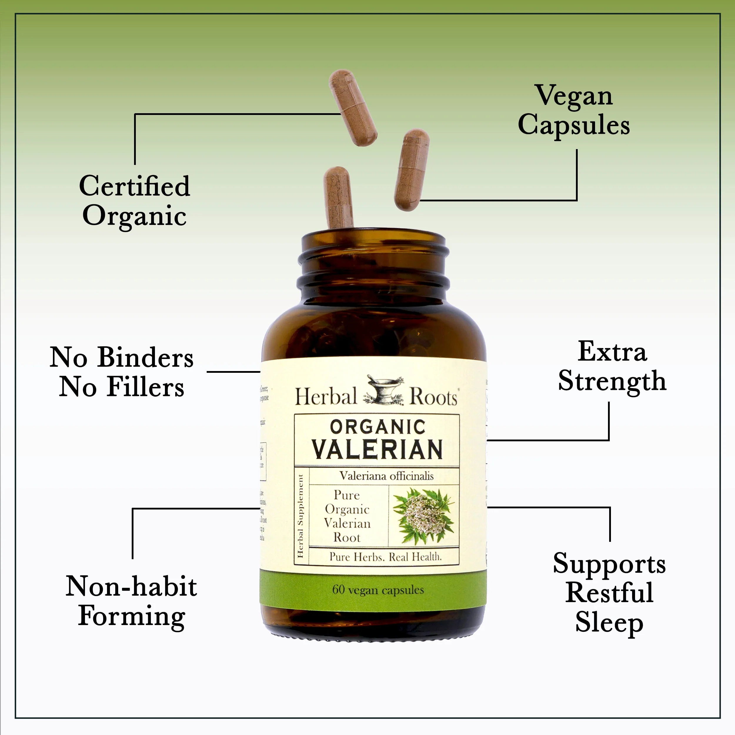 Organic Valerian Root - Image 3