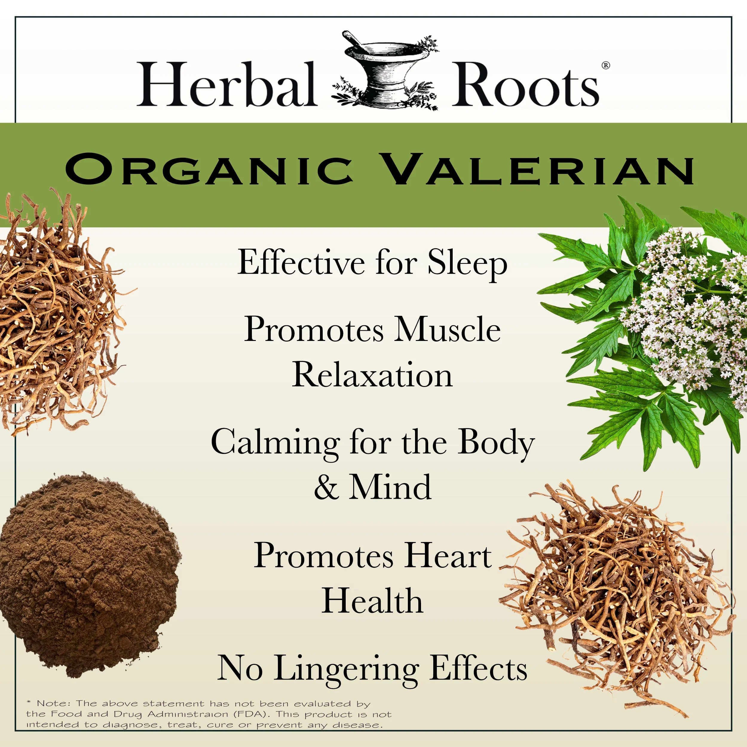 Organic Valerian Root - Image 7