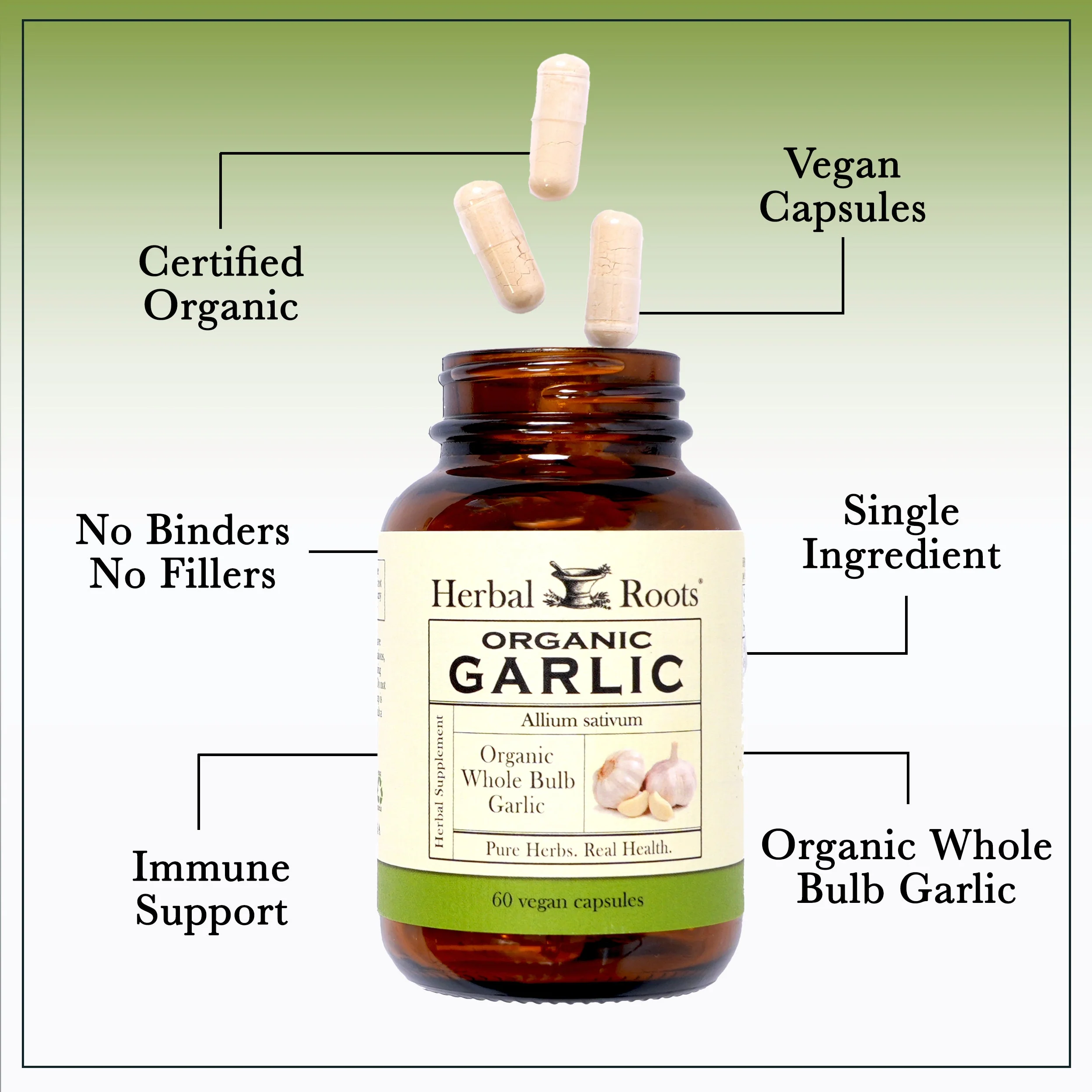 Organic Whole Bulb Garlic - Image 3