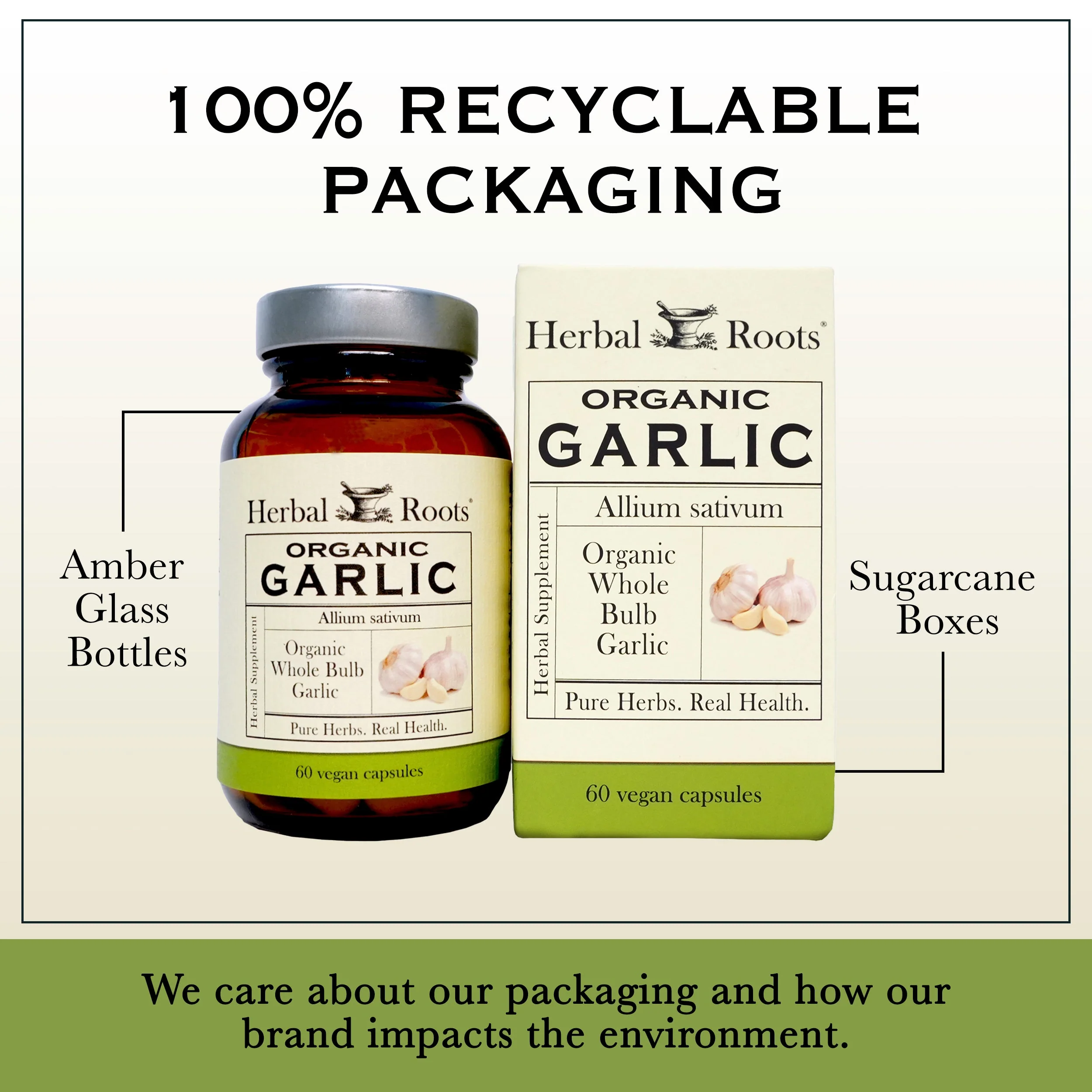 Organic Whole Bulb Garlic - Image 5